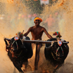 a1f96b309e7435e568383b84b6748aa6 imgupscaler.ai v1(fast) 2k